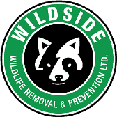 Wildside Wildlife Removal-logo